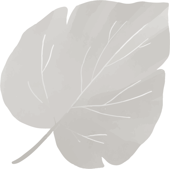 Bullet icon